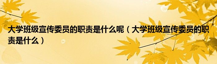 大学班级宣传委员的职责是什么呢（大学班级宣传委员的职责是什么）