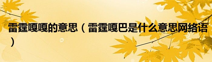 雷霆嘎嘎的意思（雷霆嘎巴是什么意思网络语）