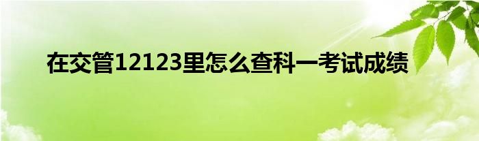 在交管12123里怎么查科一考试成绩