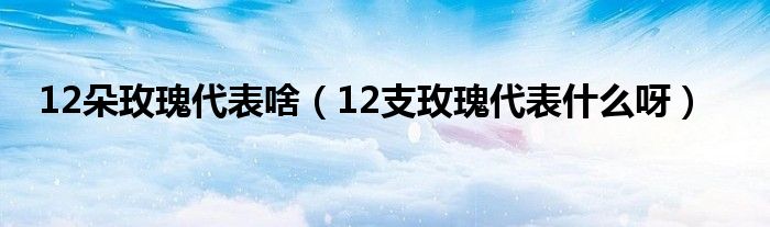 12朵玫瑰代表啥（12支玫瑰代表什么呀）