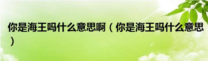 你是海王吗什么意思啊（你是海王吗什么意思）