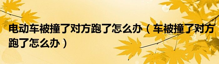 电动车被撞了对方跑了怎么办（车被撞了对方跑了怎么办）