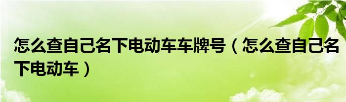 怎么查自己名下电动车车牌号（怎么查自己名下电动车）