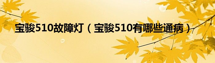 宝骏510故障灯（宝骏510有哪些通病）