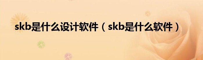 skb是什么设计软件（skb是什么软件）