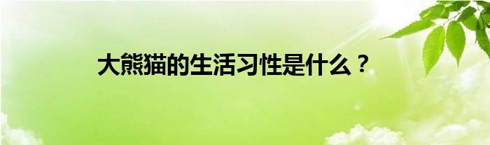 大熊猫的生活习性是什么？