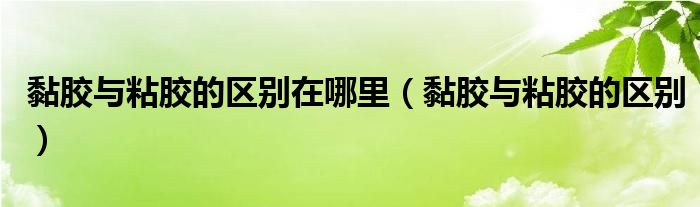 黏胶与粘胶的区别在哪里（黏胶与粘胶的区别）