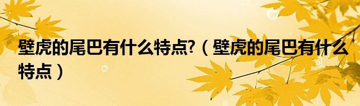 壁虎的尾巴有什么特点?（壁虎的尾巴有什么特点）