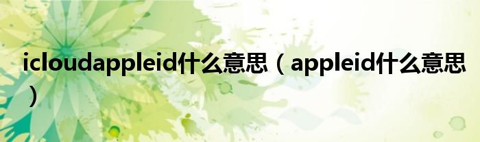 icloudappleid什么意思（appleid什么意思）