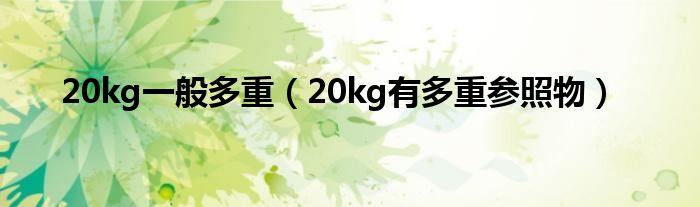 20kg一般多重（20kg有多重参照物）