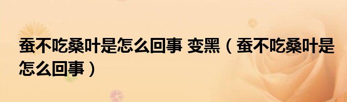 蚕不吃桑叶是怎么回事 变黑（蚕不吃桑叶是怎么回事）