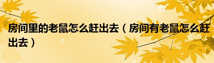 房间里的老鼠怎么赶出去（房间有老鼠怎么赶出去）