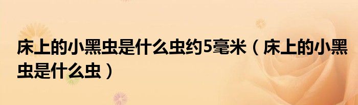 床上的小黑虫是什么虫约5毫米（床上的小黑虫是什么虫）