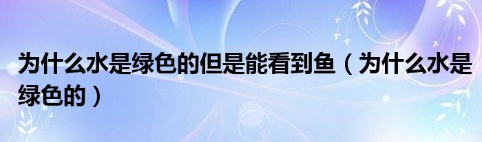 为什么水是绿色的但是能看到鱼（为什么水是绿色的）