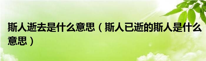 斯人逝去是什么意思（斯人已逝的斯人是什么意思）