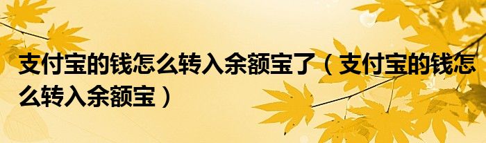 支付宝的钱怎么转入余额宝了（支付宝的钱怎么转入余额宝）