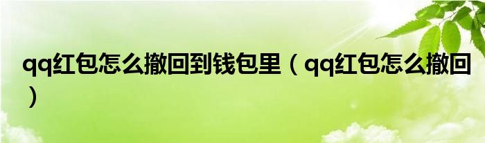 qq红包怎么撤回到钱包里（qq红包怎么撤回）