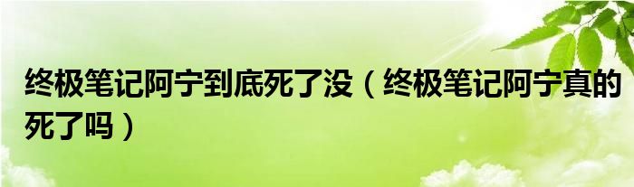 终极笔记阿宁到底死了没（终极笔记阿宁真的死了吗）