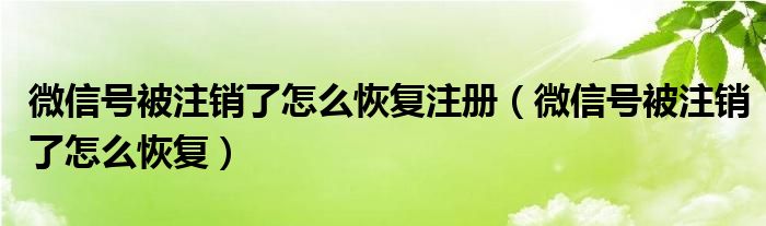 微信号被注销了怎么恢复注册（微信号被注销了怎么恢复）