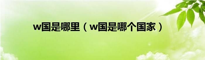 w国是哪里（w国是哪个国家）