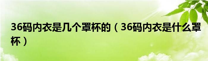 36码内衣是几个罩杯的（36码内衣是什么罩杯）