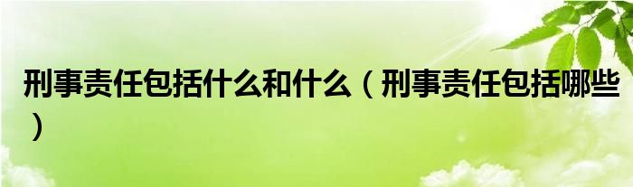 刑事责任包括什么和什么（刑事责任包括哪些）