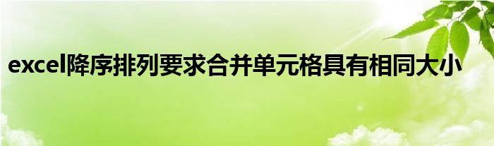 excel降序排列要求合并单元格具有相同大小