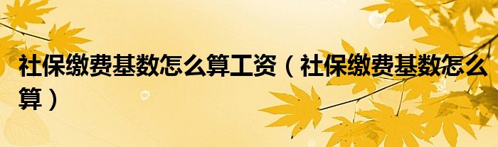 社保缴费基数怎么算工资（社保缴费基数怎么算）