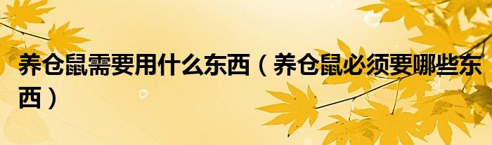 养仓鼠需要用什么东西（养仓鼠必须要哪些东西）