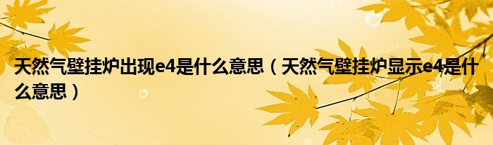 天然气壁挂炉出现e4是什么意思（天然气壁挂炉显示e4是什么意思）