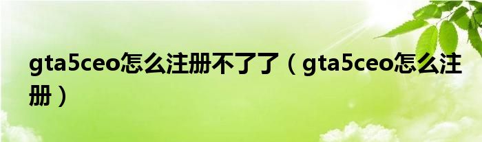 gta5ceo怎么注册不了了（gta5ceo怎么注册）