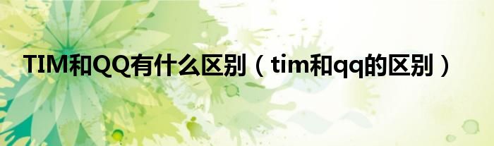 TIM和QQ有什么区别（tim和qq的区别）