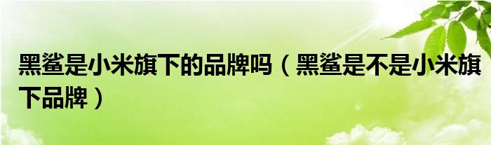 黑鲨是小米旗下的品牌吗（黑鲨是不是小米旗下品牌）