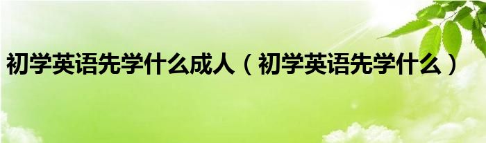 初学英语先学什么成人（初学英语先学什么）