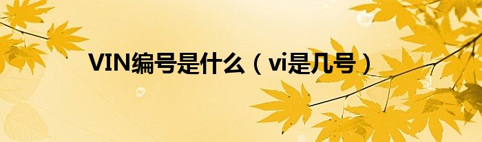 VIN编号是什么（vi是几号）