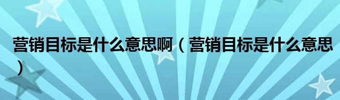 营销目标是什么意思啊（营销目标是什么意思）