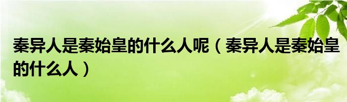 秦异人是秦始皇的什么人呢（秦异人是秦始皇的什么人）