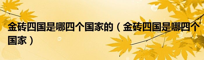 金砖四国是哪四个国家的（金砖四国是哪四个国家）