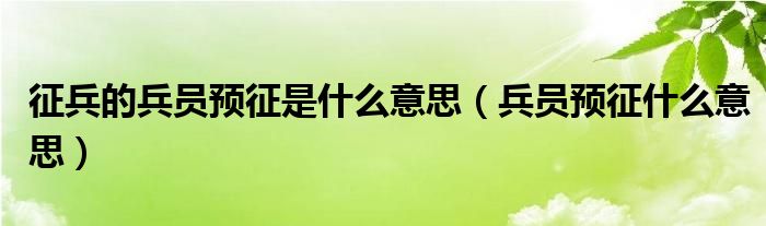 征兵的兵员预征是什么意思（兵员预征什么意思）