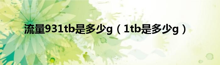 流量931tb是多少g（1tb是多少g）