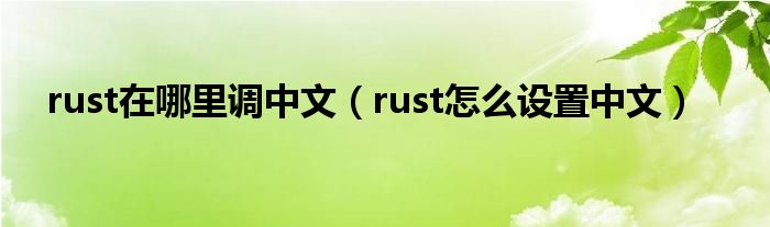 rust在哪里调中文（rust怎么设置中文）