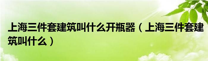 上海三件套建筑叫什么开瓶器（上海三件套建筑叫什么）