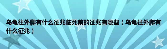 乌龟往外爬有什么征兆临死前的征兆有哪些（乌龟往外爬有什么征兆）