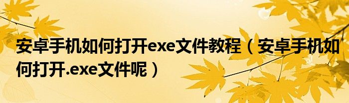 安卓手机如何打开exe文件教程（安卓手机如何打开.exe文件呢）