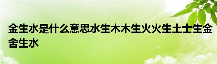 金生水是什么意思水生木木生火火生土士生金舍生水