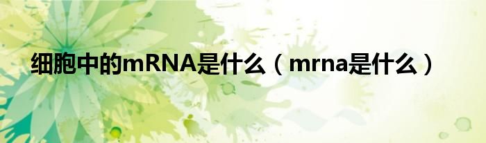 细胞中的mRNA是什么（mrna是什么）