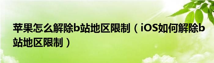 苹果怎么解除b站地区限制（iOS如何解除b站地区限制）