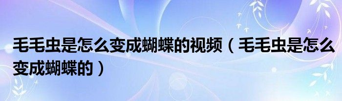 毛毛虫是怎么变成蝴蝶的视频（毛毛虫是怎么变成蝴蝶的）