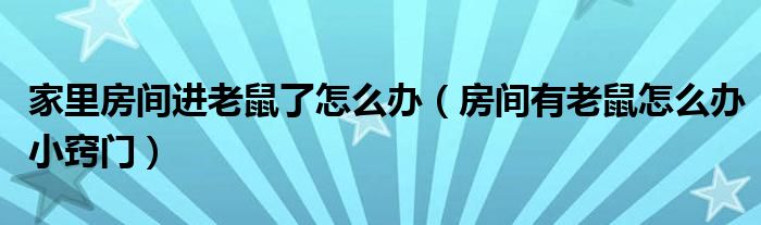 家里房间进老鼠了怎么办（房间有老鼠怎么办小窍门）