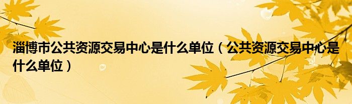 淄博市公共资源交易中心是什么单位（公共资源交易中心是什么单位）